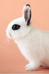 《刺客信条》系列未来6年发售计划爆料 共10款游戏